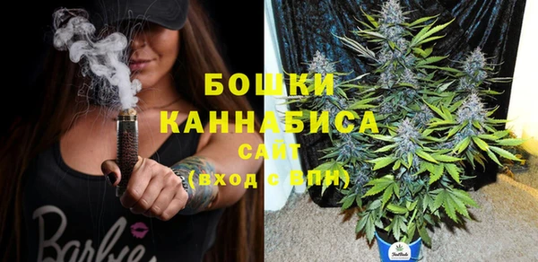 дурь Заводоуковск