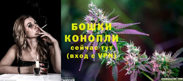 дурь Заводоуковск